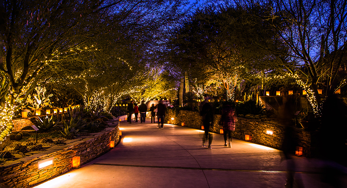 Holiday Events in Phoenix  ZooLights & Glendale Glitters